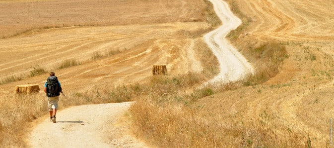 Un randonneur sur un sentier en pleine campagne